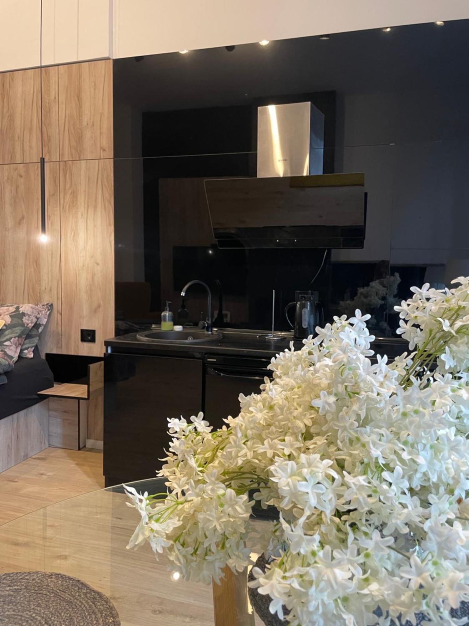 Апартаменты Lux Dabich 1 Нови-Сад Экстерьер фото